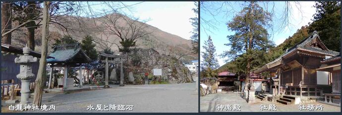 写真:向かって左、社殿の屋根越しに市指定天然記念物白瀧神社のケヤキが見える。右、神楽殿で奉納される市指定無形文化財白瀧神社太々神楽