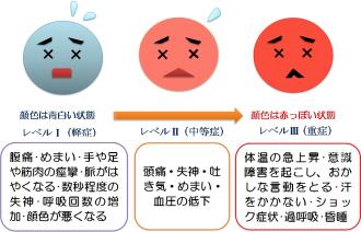 図：熱中症のレベル別症状を表している図