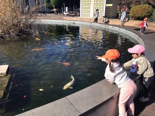 写真：池の鯉を見る園児