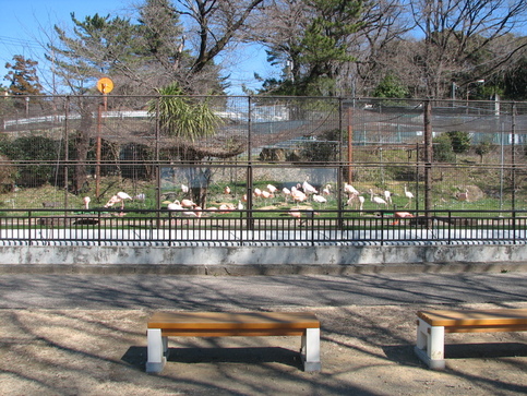 フラミンゴ広場のベンチからフラミンゴ池を見る写真