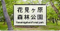 花見ヶ原森林公園