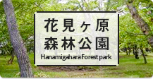 花見ヶ原森林公園