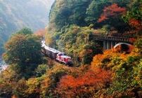 写真：紅葉の古路瀬渓谷を走るわたらせ渓谷鐵道