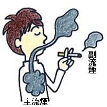 イラスト：タバコを吸う男性と副流煙・主流煙の図説