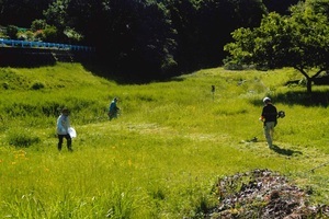 写真：山田川クリーン作戦活動の様子
