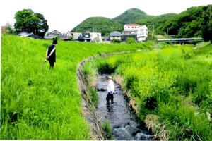 山田川ホタル友の会活動写真