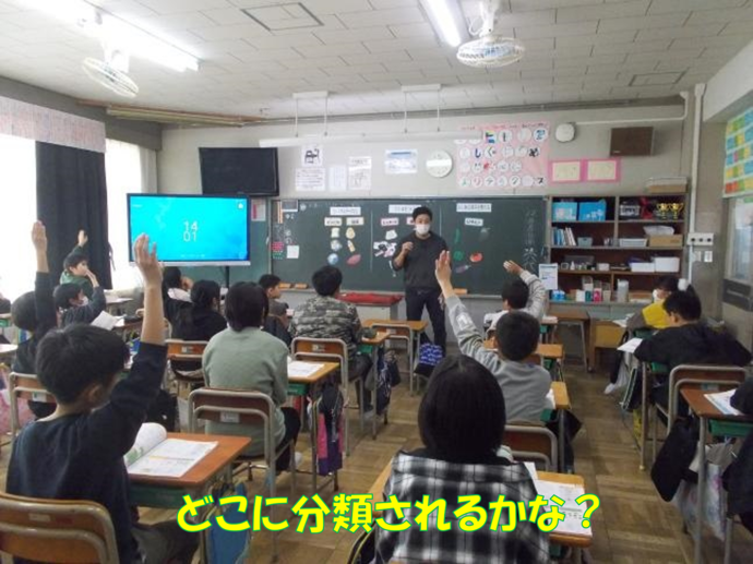 写真:どこに分類されるかな?