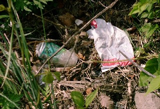 写真：藪に捨てられた空き缶とゴミ