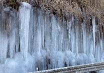 写真：梨木の氷柱1