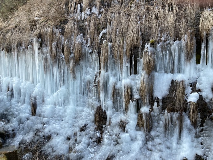 写真：梨木の氷柱