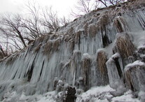 写真：梨木の氷柱3