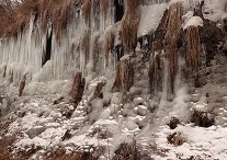 写真：梨木の氷柱2