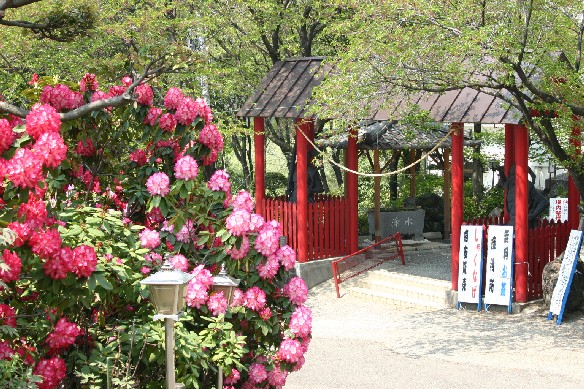 写真：赤城寺入り口とシャクナゲ