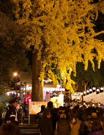 写真：西宮神社