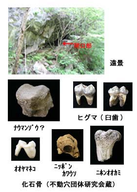 写真：遺跡の遠景と発見された動物の化石骨