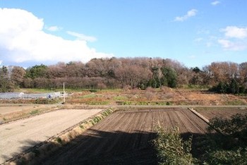 写真：城跡が森に囲まれている様子