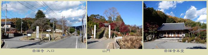 写真左：南側参道からの崇禅寺の全景。中央：山門の先に崇禅寺本堂とイトヒバの先端が望める。右：崇禅寺本堂