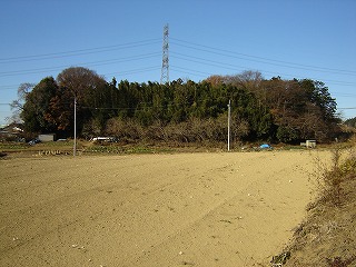 写真：田んぼと木に囲まれた谷津舘跡のようす1