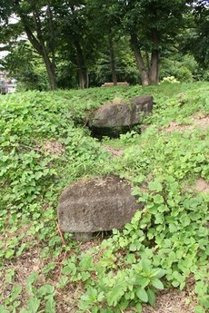 写真：古墳の入り口の様子