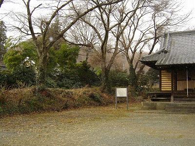 写真：梅原館跡の周りに木が茂っているようす