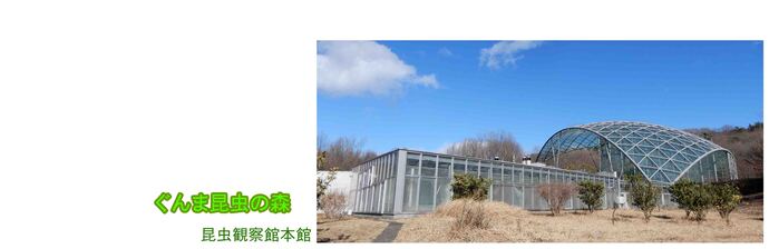 写真:ぐんま昆虫の森 昆虫観察館本館