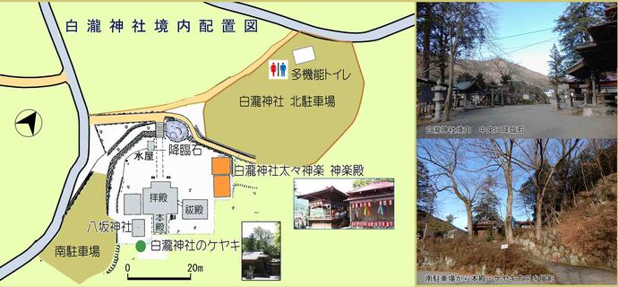 向かって左境内配置図。右上段写真：境内、下段写真：南駐車場から本殿・ケヤキ側を撮影