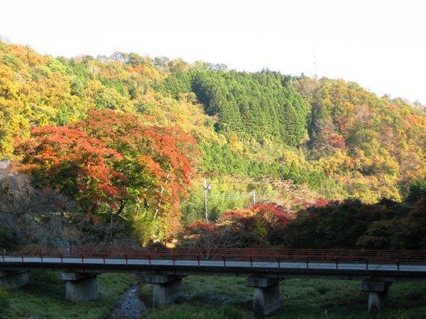 写真：黒保根町の紅葉の様子