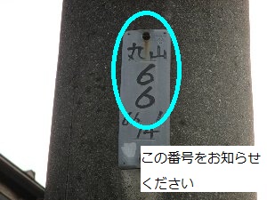 写真:電力柱 この番号をお知らせください