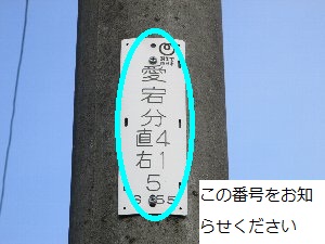写真:NTT柱 この番号をお知らせください