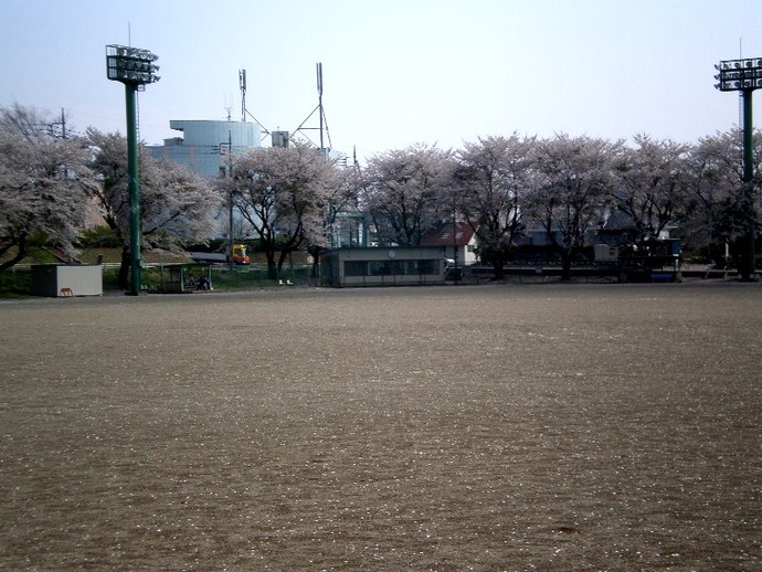 新里総合グラウンドの写真
