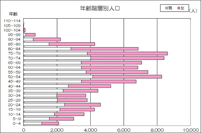 画像：年齢階層別人口グラフ