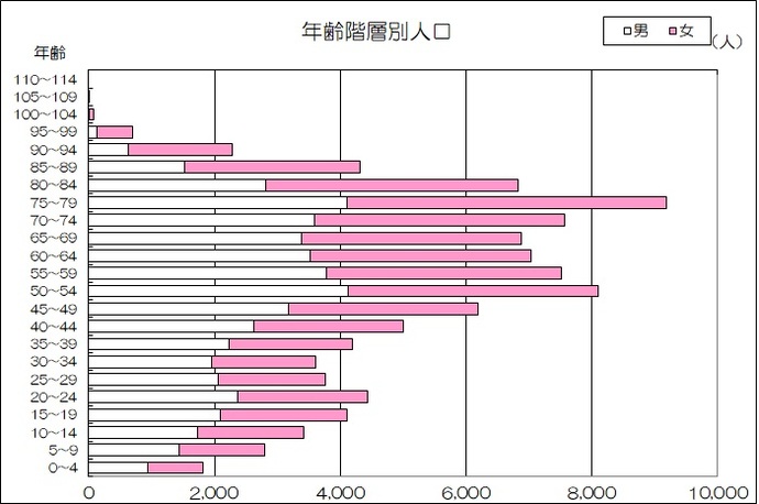 画像：年齢階層別人口グラフ