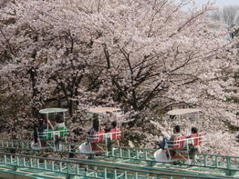 写真:サイクルモノレールの外観