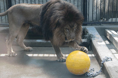 写真：ユウくんとブイ