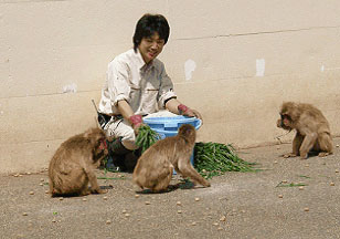 写真：飼育の様子3