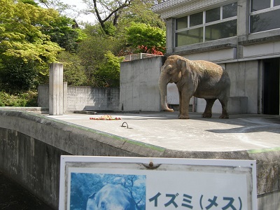 写真：誕生日会2