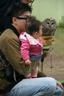 写真：フクロウと撮影会