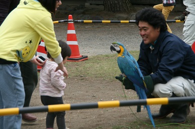 写真：ルリコンゴウインコと撮影会