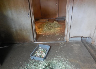 写真：収容前のカンガルー舎寝室