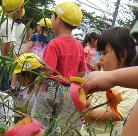 写真：竹に果物を飾りつけ