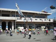 写真：5月の鯉のぼりと遊ぶ幼児たち