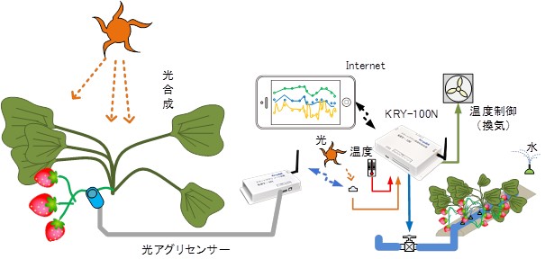 イラスト：光アグリセンサー