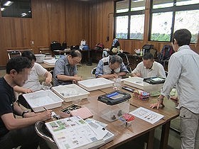 写真:生きもののスケッチをする大人たち