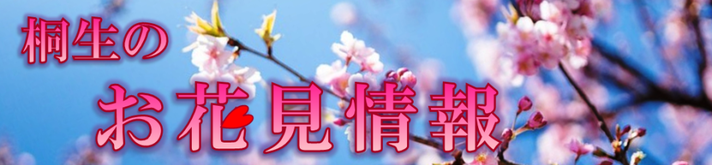 桐生のお花見情報