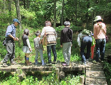 写真：春の森を案内している様子