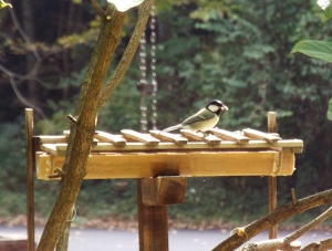 写真：鳥のエサ台とシジュウカラ
