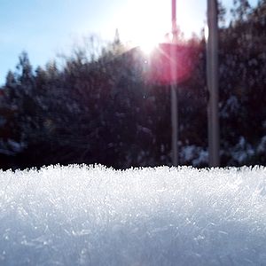写真：掲揚台の雪景色