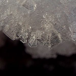 写真：雪の結晶