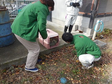 かみね動物園スタッフの写真