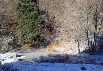 写真：園内雪景色